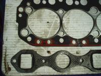 [ pict1029T.jpg ]