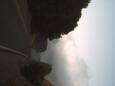 [ pict0090T.jpg ]
